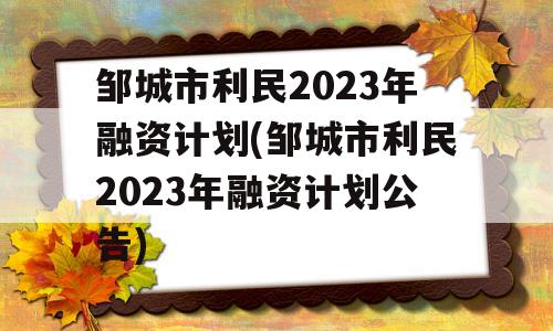 邹城市利民2023年融资计划(邹城市利民2023年融资计划公告)