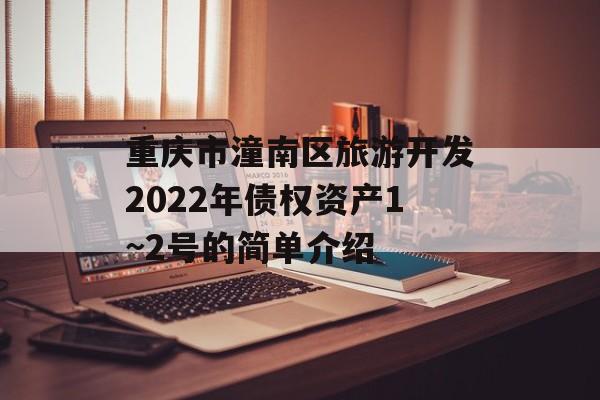 重庆市潼南区旅游开发2022年债权资产1~2号的简单介绍