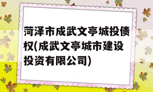 菏泽市成武文亭城投债权(成武文亭城市建设投资有限公司)