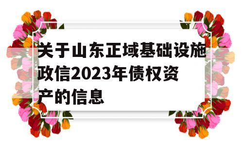 关于山东正域基础设施政信2023年债权资产的信息