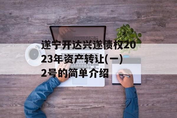 遂宁开达兴遂债权2023年资产转让(一)2号的简单介绍