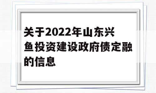 关于2022年山东兴鱼投资建设政府债定融的信息