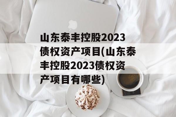 山东泰丰控股2023债权资产项目(山东泰丰控股2023债权资产项目有哪些)