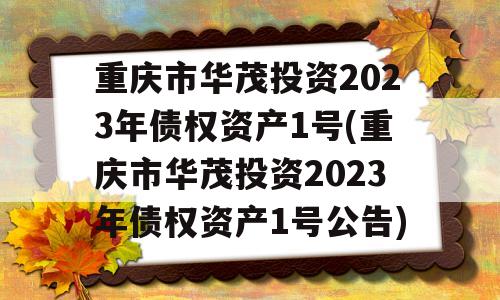 重庆市华茂投资2023年债权资产1号(重庆市华茂投资2023年债权资产1号公告)