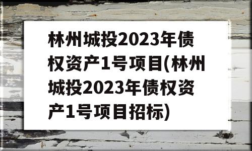 林州城投2023年债权资产1号项目(林州城投2023年债权资产1号项目招标)