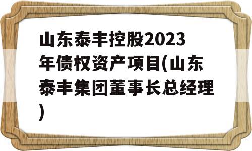 山东泰丰控股2023年债权资产项目(山东泰丰集团董事长总经理)