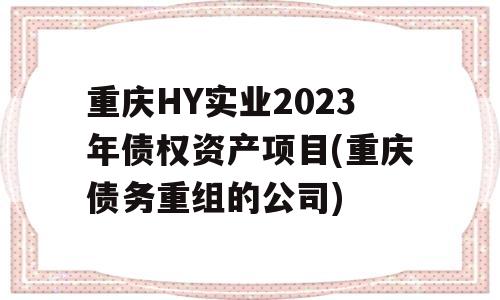 重庆HY实业2023年债权资产项目(重庆债务重组的公司)