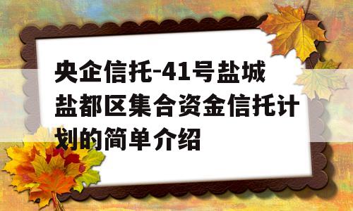 央企信托-41号盐城盐都区集合资金信托计划的简单介绍