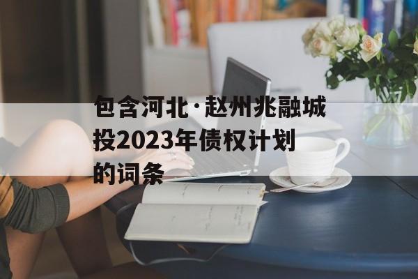 包含河北·赵州兆融城投2023年债权计划的词条