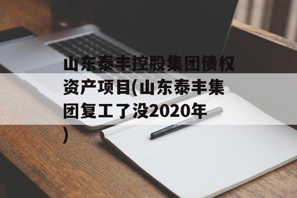 山东泰丰控股集团债权资产项目(山东泰丰集团复工了没2020年)