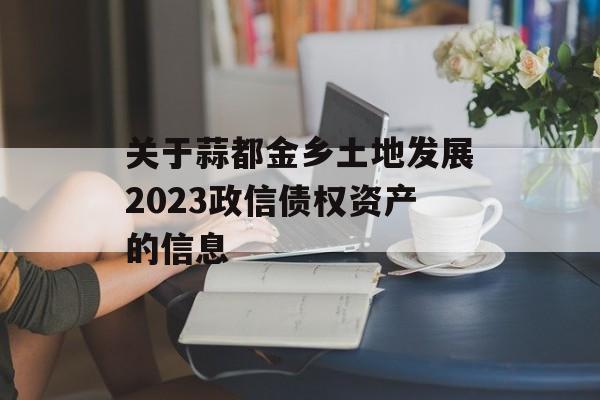 关于蒜都金乡土地发展2023政信债权资产的信息