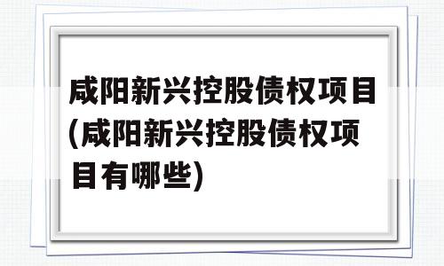 咸阳新兴控股债权项目(咸阳新兴控股债权项目有哪些)