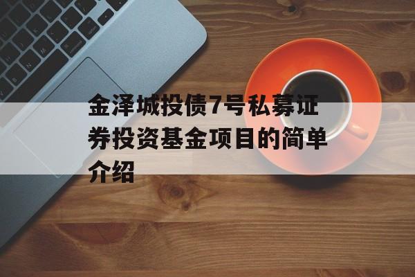 金泽城投债7号私募证券投资基金项目的简单介绍