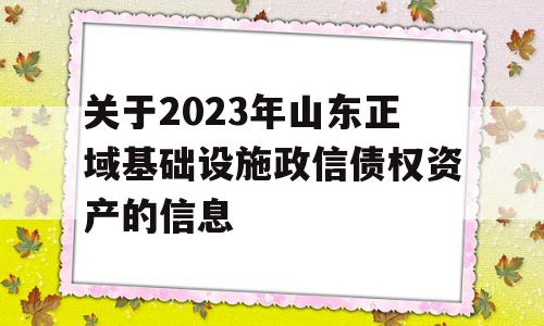 关于2023年山东正域基础设施政信债权资产的信息