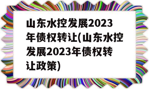 山东水控发展2023年债权转让(山东水控发展2023年债权转让政策)