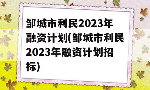 邹城市利民2023年融资计划(邹城市利民2023年融资计划招标)