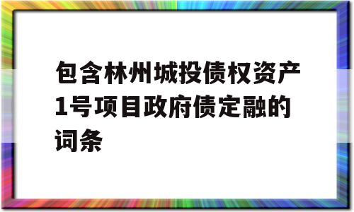 包含林州城投债权资产1号项目政府债定融的词条