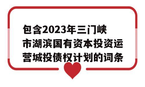 包含2023年三门峡市湖滨国有资本投资运营城投债权计划的词条