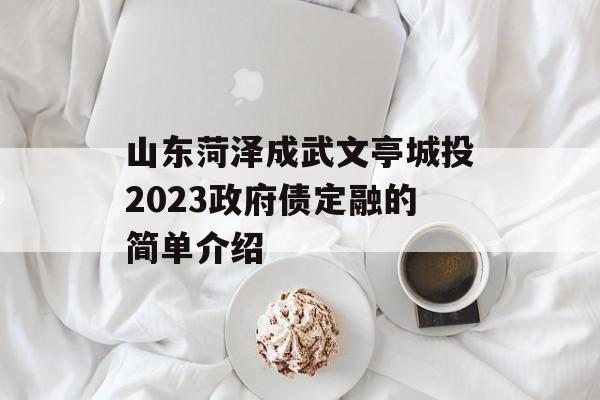 山东菏泽成武文亭城投2023政府债定融的简单介绍