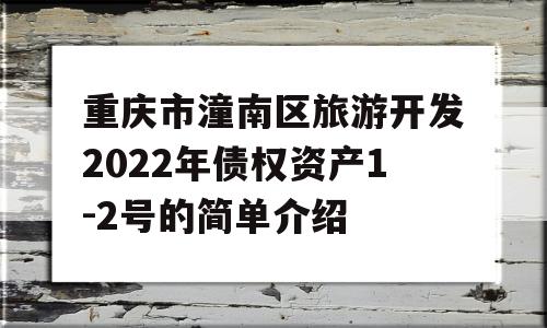 重庆市潼南区旅游开发2022年债权资产1-2号的简单介绍