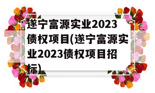 遂宁富源实业2023债权项目(遂宁富源实业2023债权项目招标)