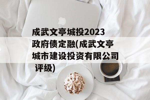 成武文亭城投2023政府债定融(成武文亭城市建设投资有限公司 评级)