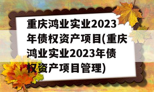 重庆鸿业实业2023年债权资产项目(重庆鸿业实业2023年债权资产项目管理)