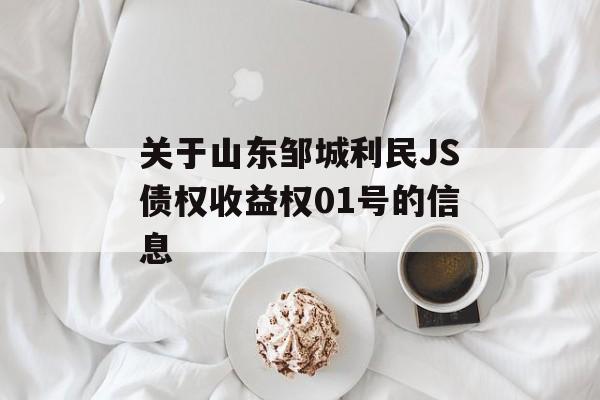 关于山东邹城利民JS债权收益权01号的信息