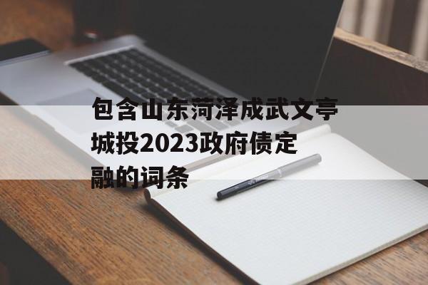 包含山东菏泽成武文亭城投2023政府债定融的词条