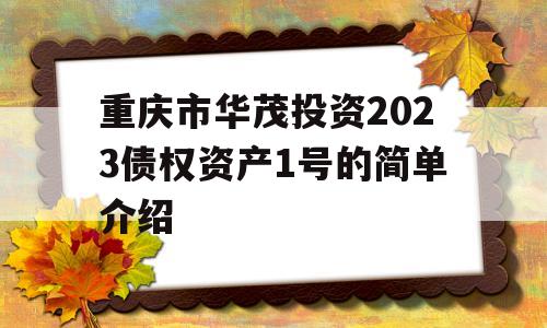 重庆市华茂投资2023债权资产1号的简单介绍