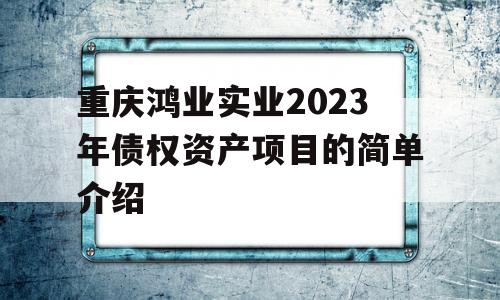 重庆鸿业实业2023年债权资产项目的简单介绍