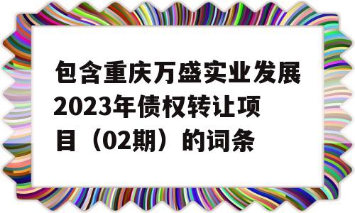 包含重庆万盛实业发展2023年债权转让项目（02期）的词条