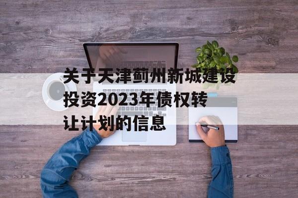 关于天津蓟州新城建设投资2023年债权转让计划的信息