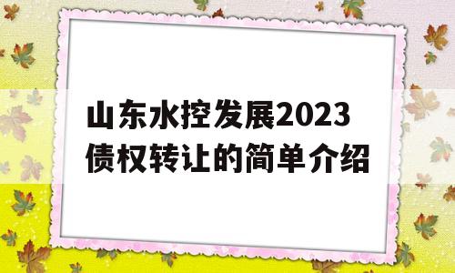 山东水控发展2023债权转让的简单介绍