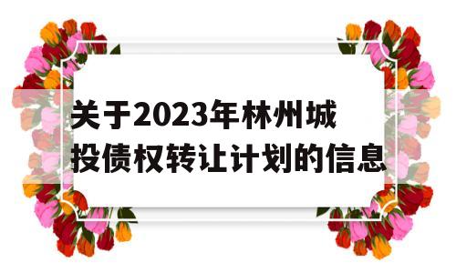 关于2023年林州城投债权转让计划的信息