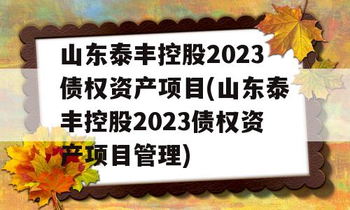 山东泰丰控股2023债权资产项目(山东泰丰控股2023债权资产项目管理)