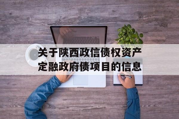 关于陕西政信债权资产定融政府债项目的信息