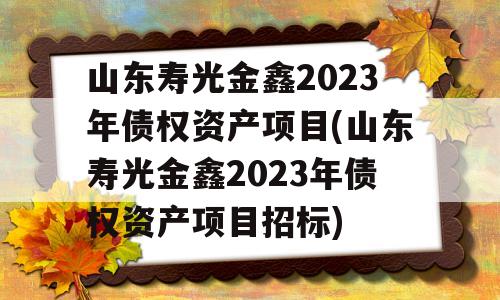 山东寿光金鑫2023年债权资产项目(山东寿光金鑫2023年债权资产项目招标)