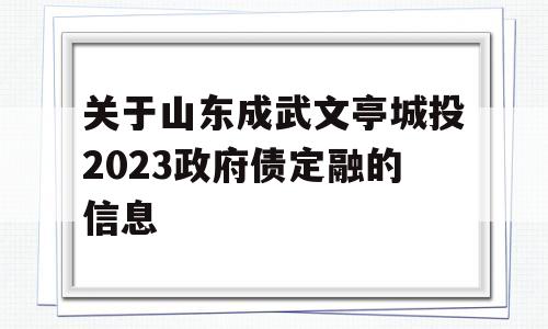 关于山东成武文亭城投2023政府债定融的信息