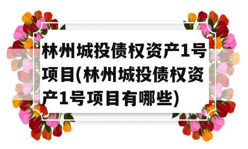 林州城投债权资产1号项目(林州城投债权资产1号项目有哪些)