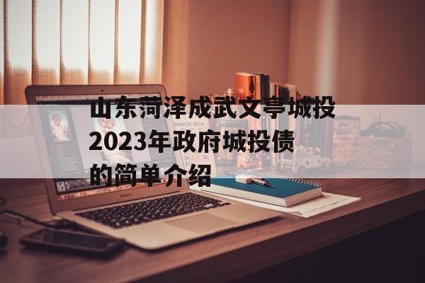 山东菏泽成武文亭城投2023年政府城投债的简单介绍