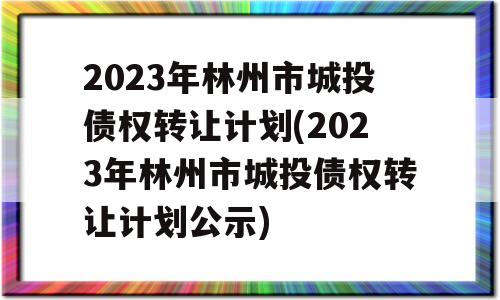 2023年林州市城投债权转让计划(2023年林州市城投债权转让计划公示)