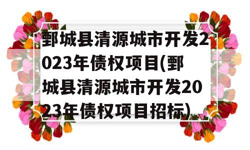 鄄城县清源城市开发2023年债权项目(鄄城县清源城市开发2023年债权项目招标)