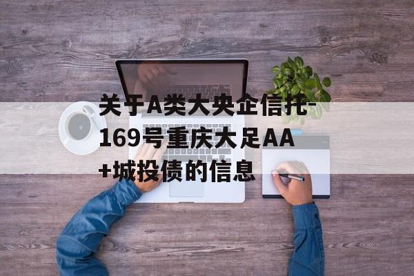 关于A类大央企信托-169号重庆大足AA+城投债的信息