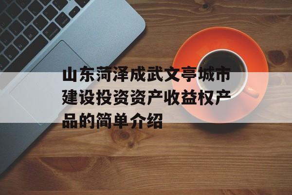 山东菏泽成武文亭城市建设投资资产收益权产品的简单介绍