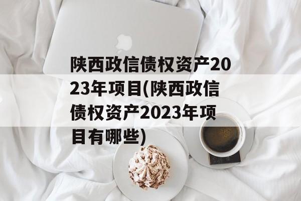 陕西政信债权资产2023年项目(陕西政信债权资产2023年项目有哪些)