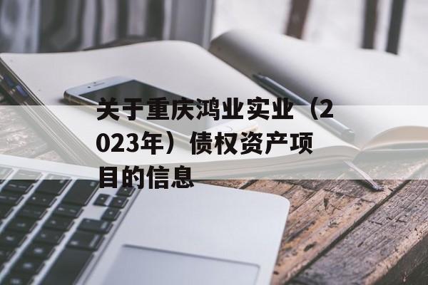 关于重庆鸿业实业（2023年）债权资产项目的信息