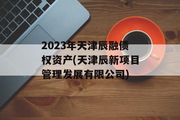 2023年天津辰融债权资产(天津辰新项目管理发展有限公司)