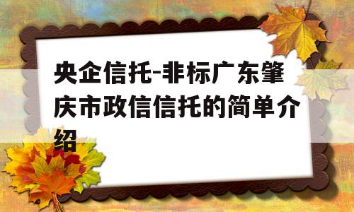 央企信托-非标广东肇庆市政信信托的简单介绍