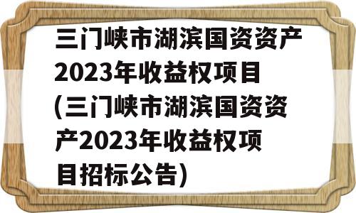 三门峡市湖滨国资资产2023年收益权项目(三门峡市湖滨国资资产2023年收益权项目招标公告)